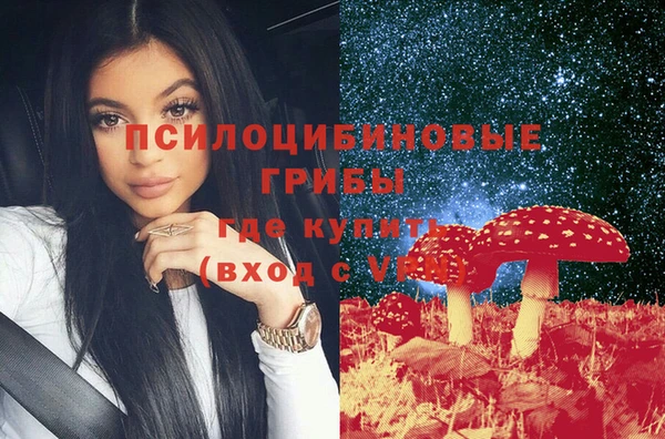 прущие грибы Чердынь