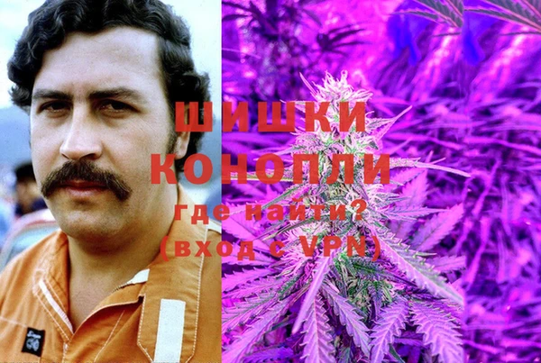 прущие грибы Чердынь