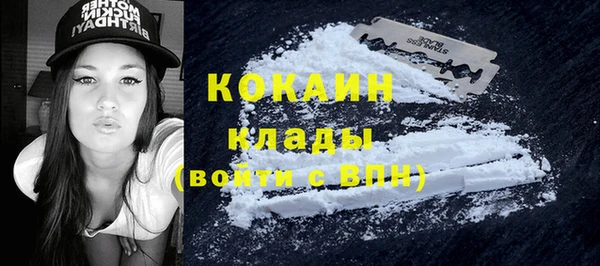 молекула духа Крымск