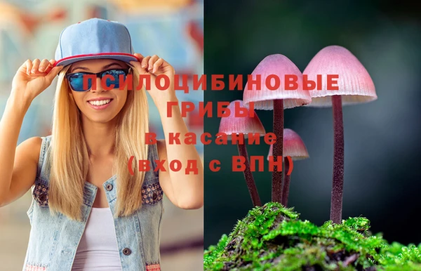 ешки Куровское